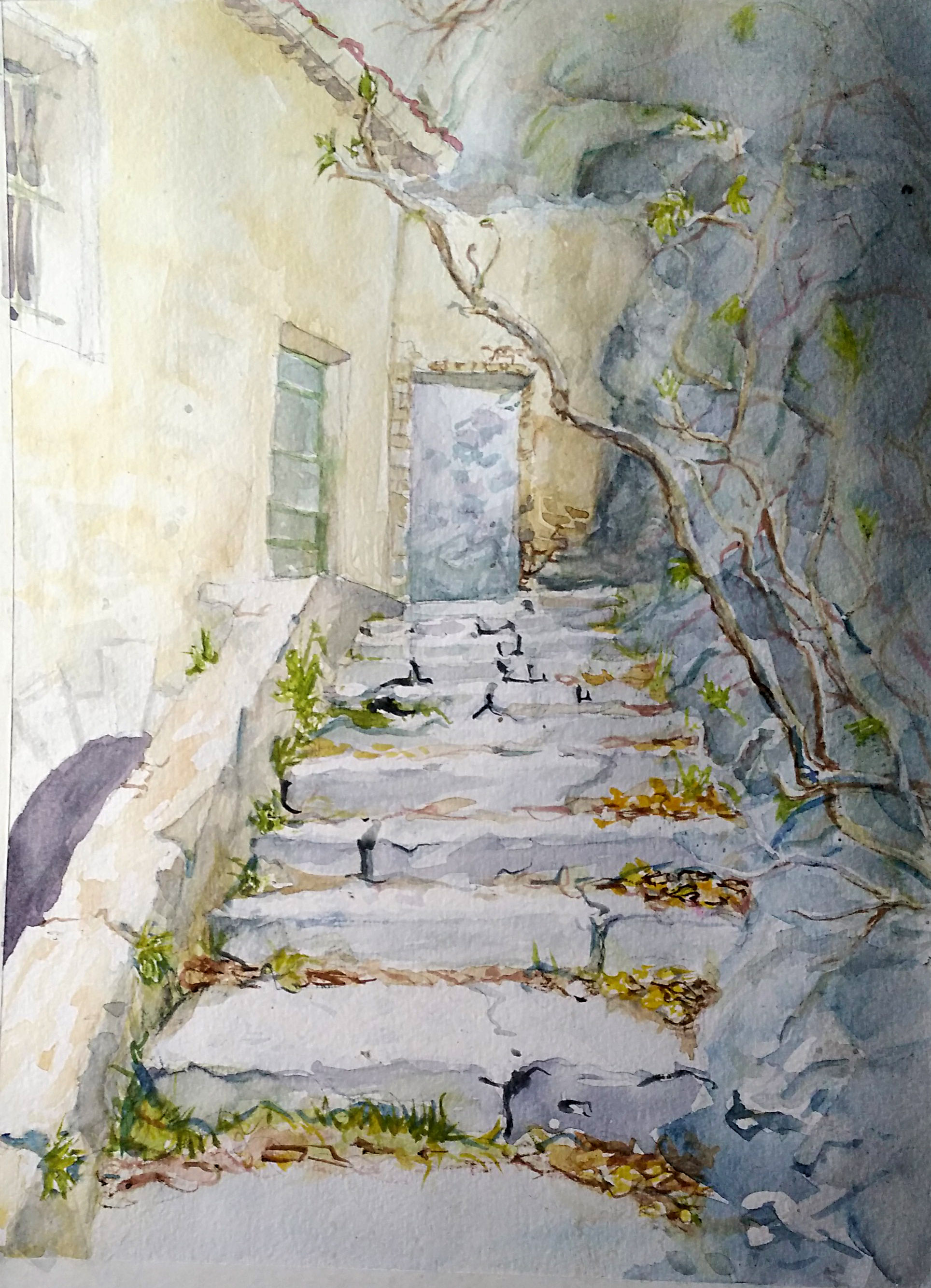 Entrevaux Stairs 2