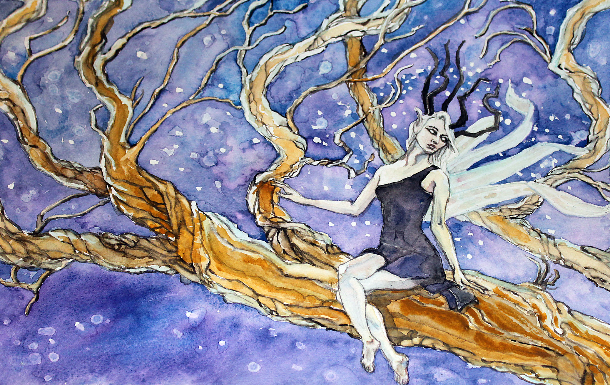 Winter Fey